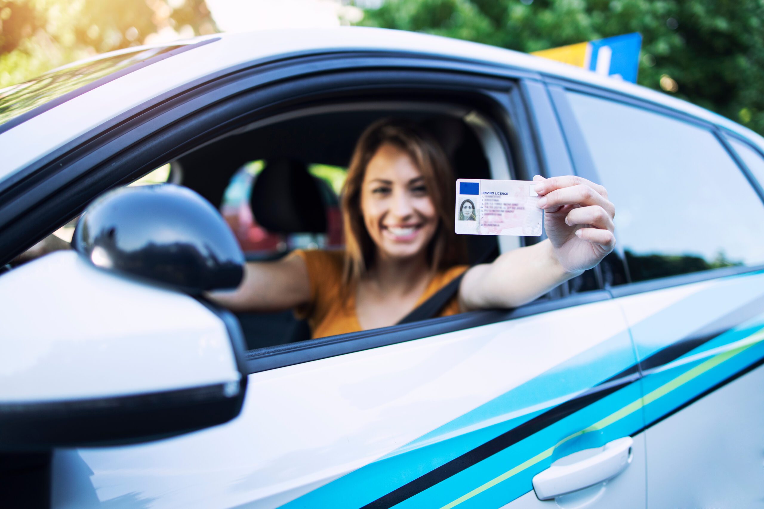 recuperar puntos del carnet cursos recuperar puntos del carnet cursos